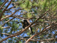 img_5046.jpg